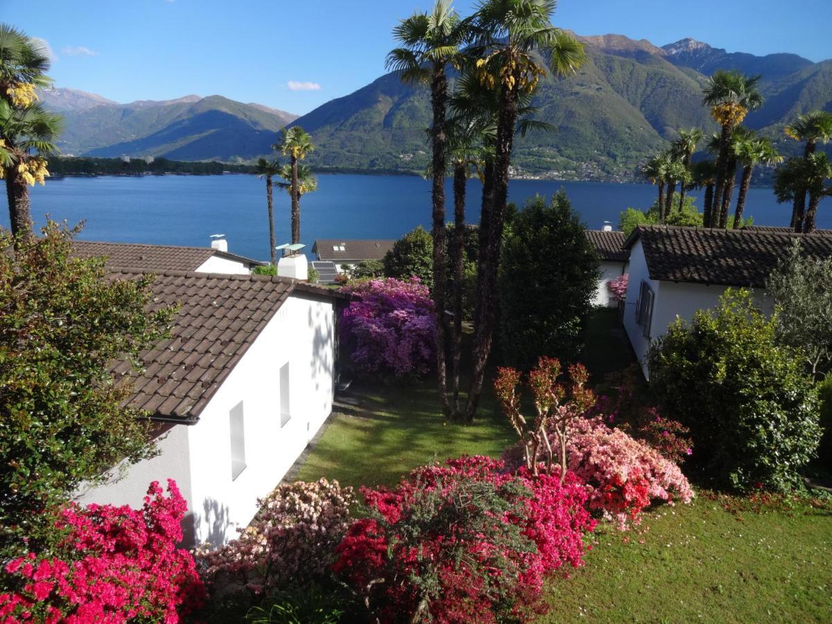 Residenza Paradiso Di Vacanze Minusio Exterior photo