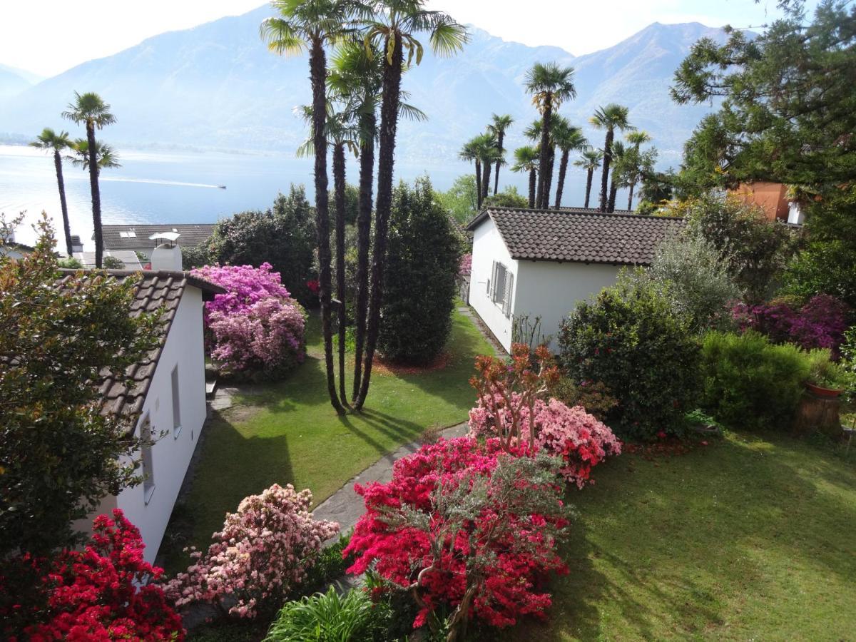 Residenza Paradiso Di Vacanze Minusio Exterior photo